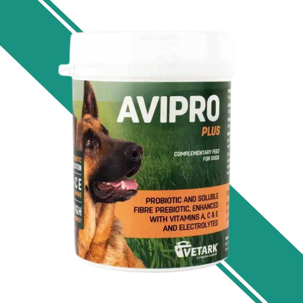 Avipro Plus Probiotic Powder for Dogs 100g
